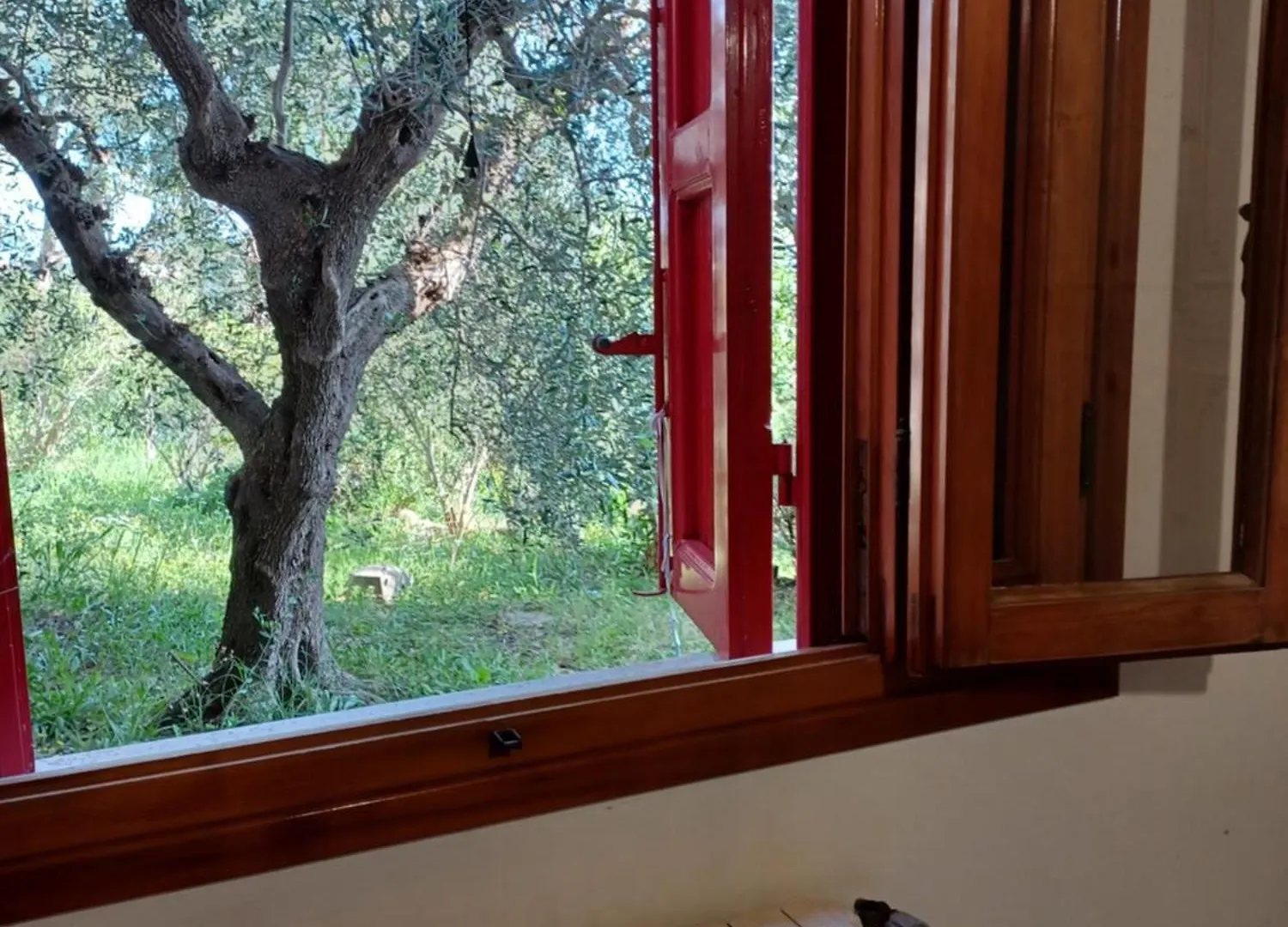 Verde Mare Apartment Rosignano Marittimo
