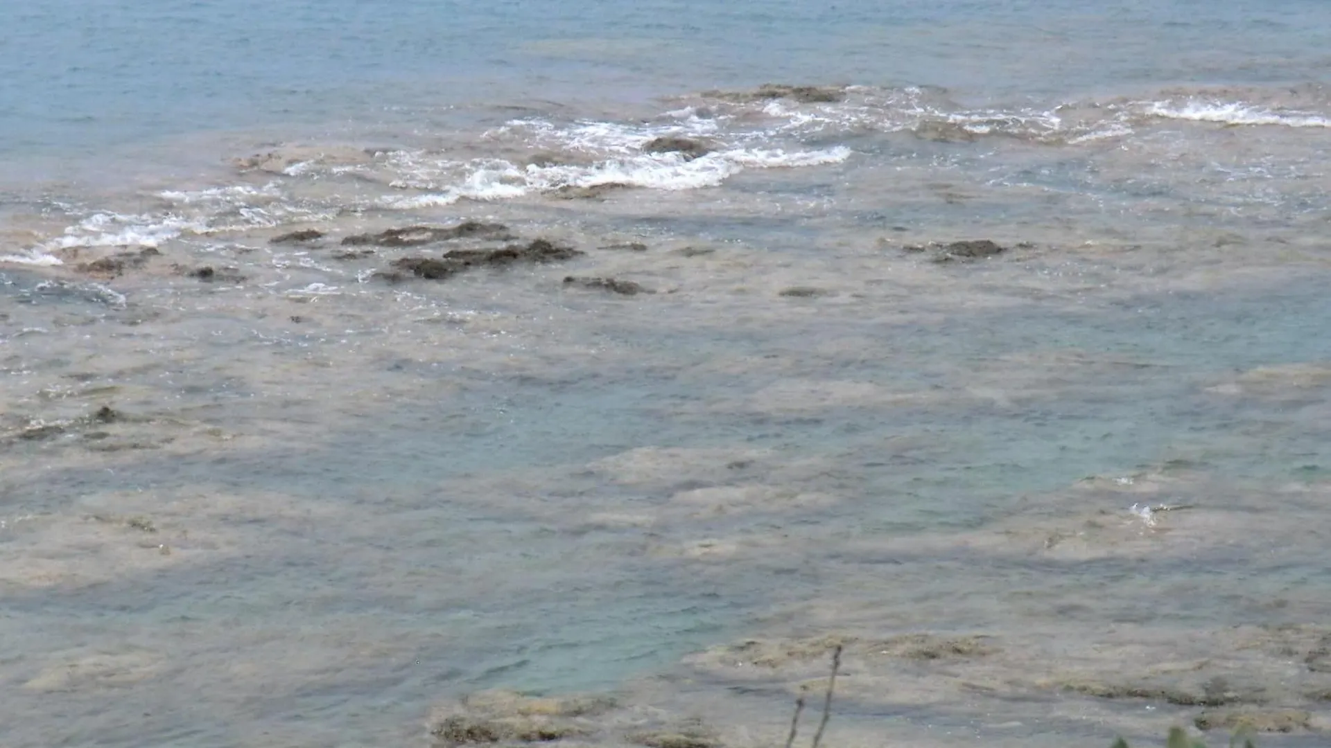 Verde Mare Apartment Rosignano Marittimo
